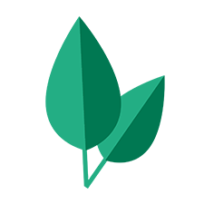 zwei grüne Blätter zur Vegan Zertifizierung, ohne tierische Produkte oder Zutaten