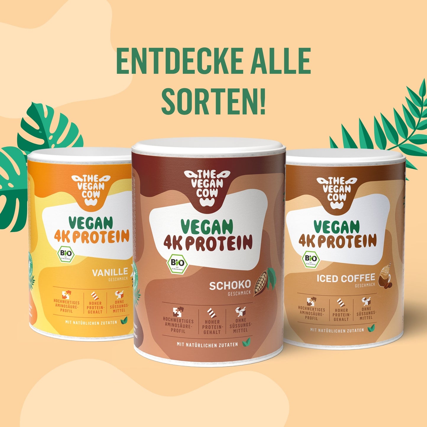 VEGAN 4K PROTEIN ICED COFFEE